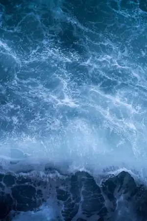 Investigadores encontram alternativa sustentável para tintas marítimas tóxicas